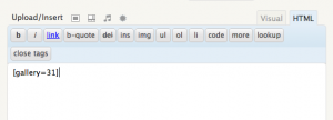Adding the code to your posts and pages