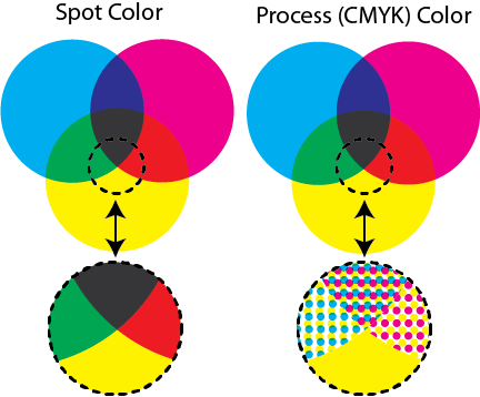 “spot color”的图片搜索结果